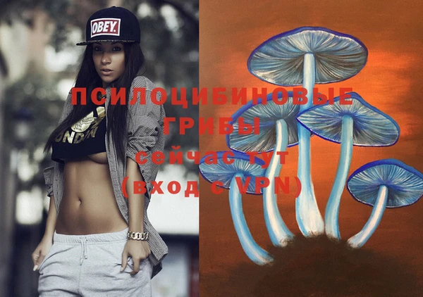 метамфетамин Пестово