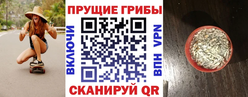 где купить наркоту Сычёвка Псилоцибиновые грибы ЛСД